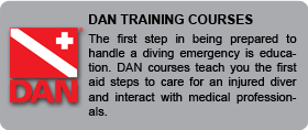 DAN Training