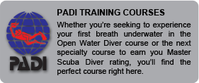 PADI Training