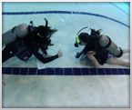 Discover Scuba Diving Class