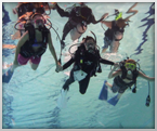 Discover Scuba Diving Class