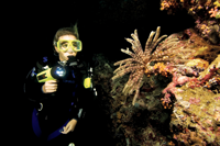 Night Diver
